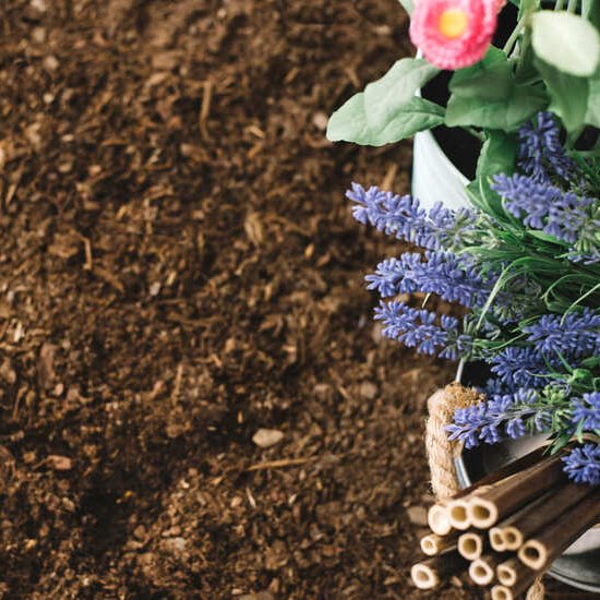 Садовая земля